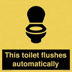 This toilet flushes automatically